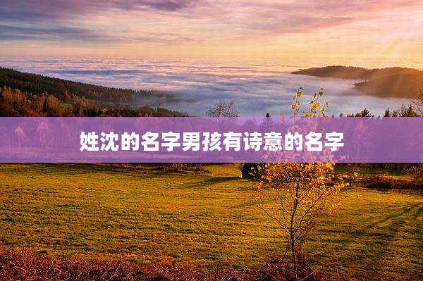 姓沈的名字男孩有诗意的名字