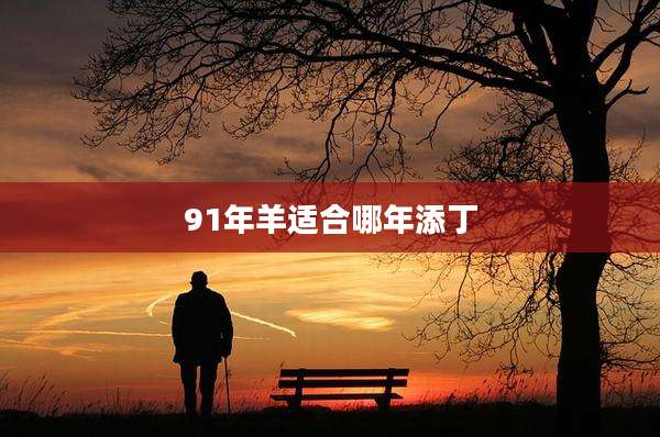 91年羊适合哪年添丁