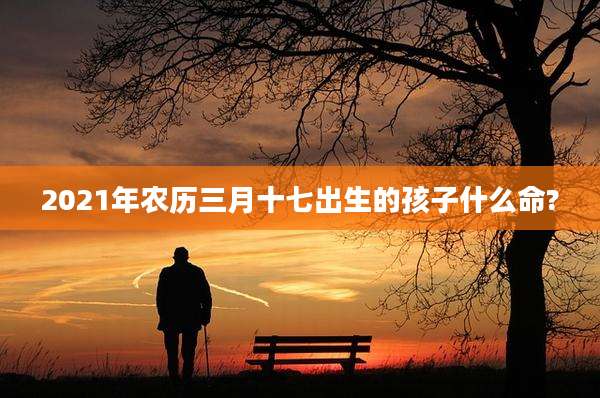 2021年农历三月十七出生的孩子什么命?