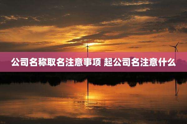 公司名称取名注意事项 起公司名注意什么