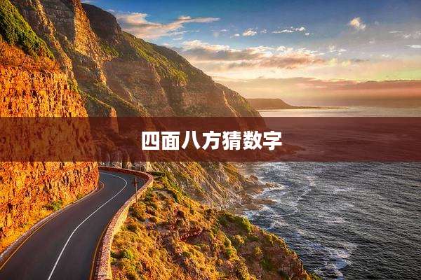 四面八方猜数字