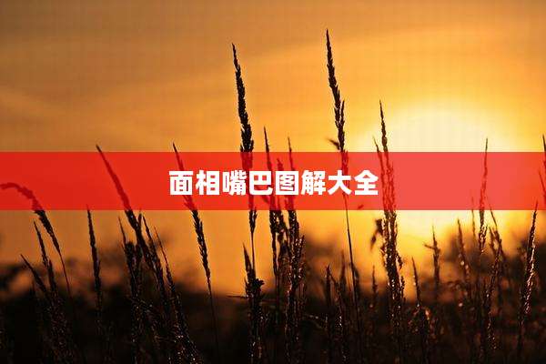 面相嘴巴图解大全