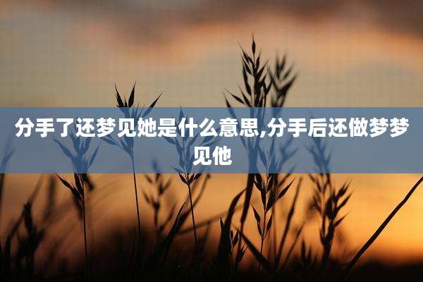 分手了还梦见她是什么意思,分手后还做梦梦见他
