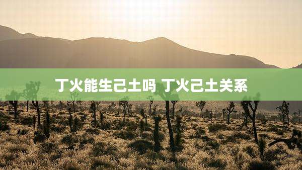 丁火能生己土吗 丁火己土关系