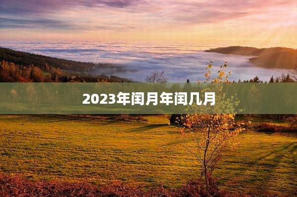 2023年闰月年闰几月