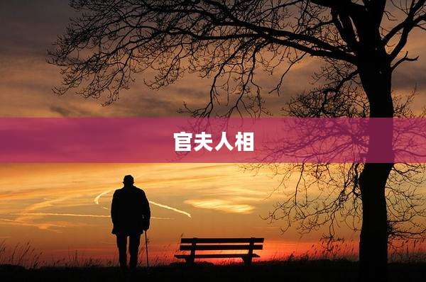 官夫人相