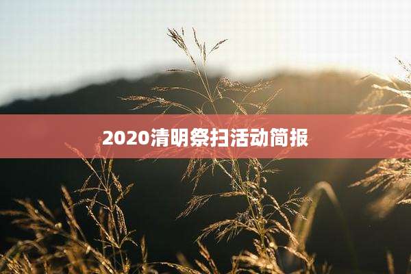 2020清明祭扫活动简报