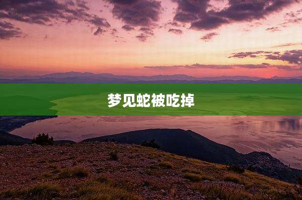 梦见蛇被吃掉