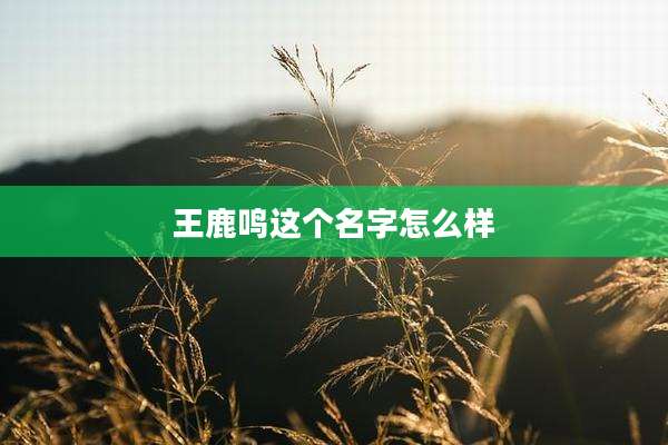 王鹿鸣这个名字怎么样