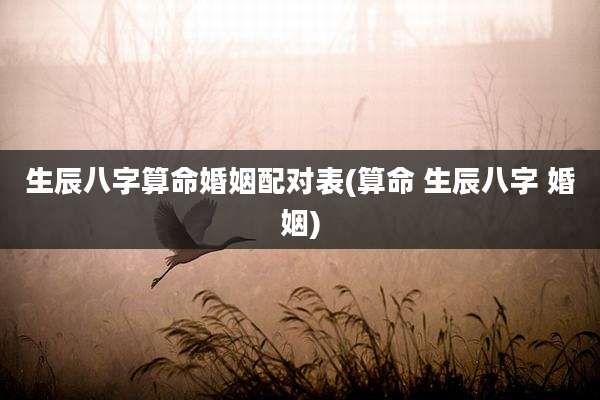 生辰八字算命婚姻配对表(算命 生辰八字 婚姻)