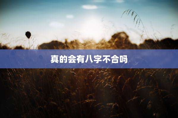 真的会有八字不合吗