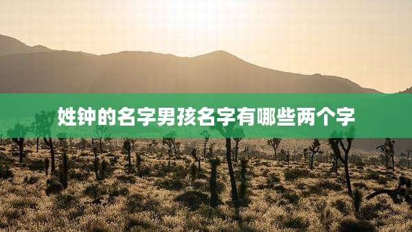 姓钟的名字男孩名字有哪些两个字