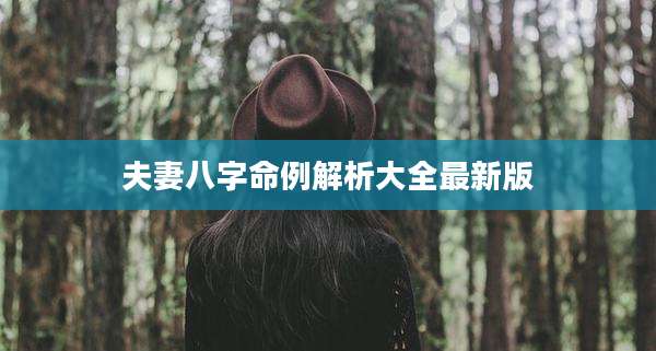 夫妻八字命例解析大全最新版