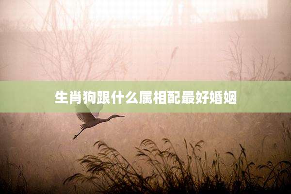 生肖狗跟什么属相配最好婚姻