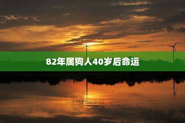 82年属狗人40岁后命运