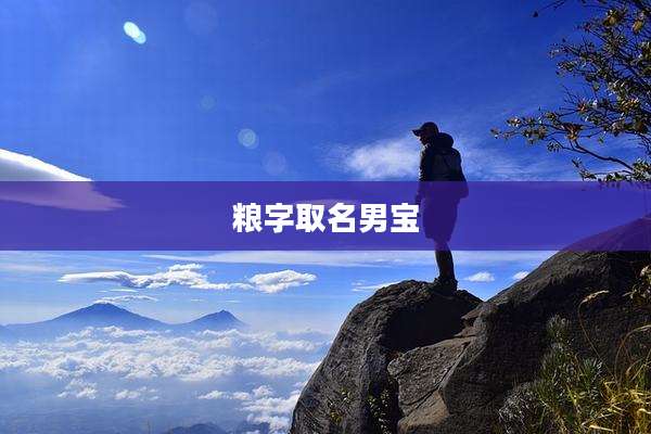 粮字取名男宝
