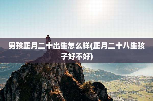 男孩正月二十出生怎么样(正月二十八生孩子好不好)