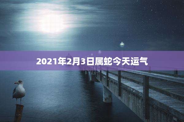 2021年2月3日属蛇今天运气