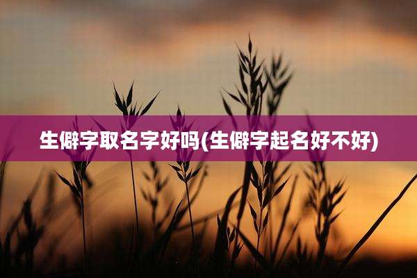 生僻字取名字好吗(生僻字起名好不好)