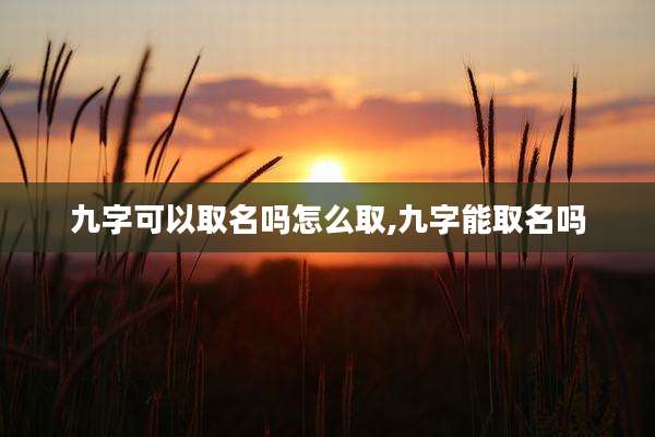 九字可以取名吗怎么取,九字能取名吗