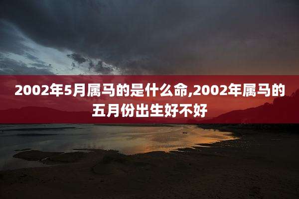2002年5月属马的是什么命,2002年属马的五月份出生好不好