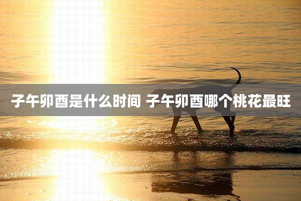 子午卯酉是什么时间 子午卯酉哪个桃花最旺
