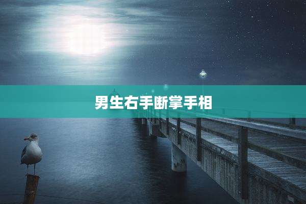 男生右手断掌手相
