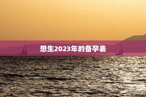 想生2023年的备孕表