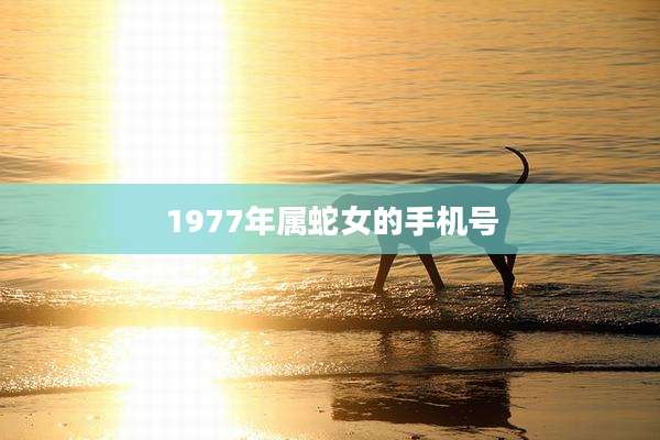 1977年属蛇女的手机号