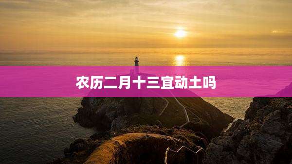 农历二月十三宜动土吗