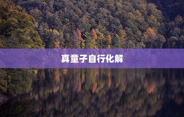 真童子自行化解
