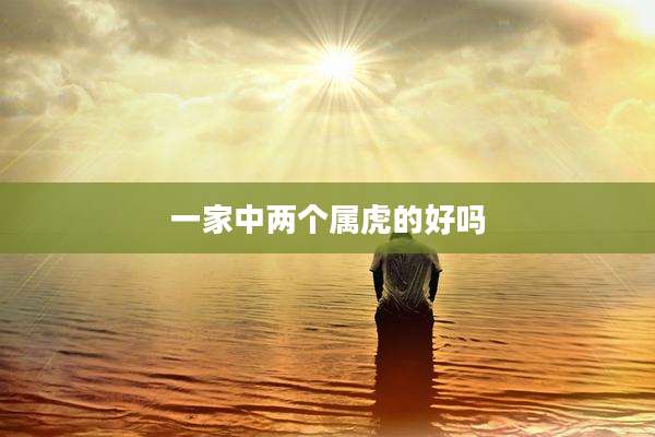 一家中两个属虎的好吗
