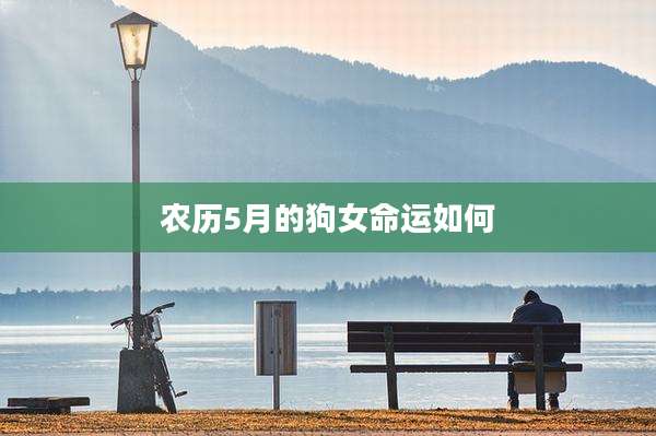 农历5月的狗女命运如何
