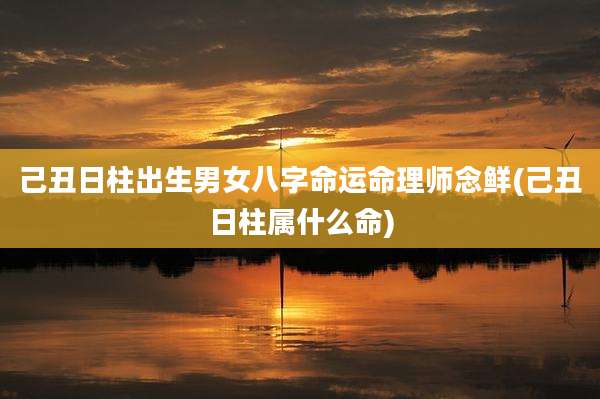 己丑日柱出生男女八字命运命理师念鲜(己丑日柱属什么命)