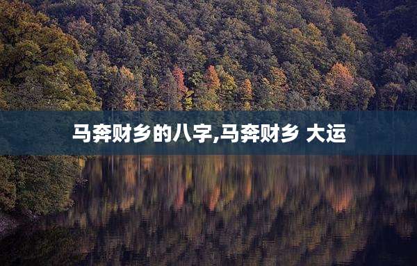 马奔财乡的八字,马奔财乡 大运