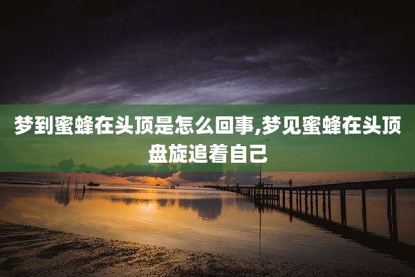 梦到蜜蜂在头顶是怎么回事,梦见蜜蜂在头顶盘旋追着自己