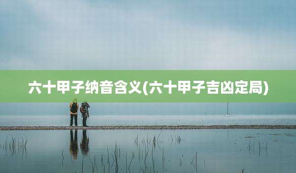 六十甲子纳音含义(六十甲子吉凶定局)