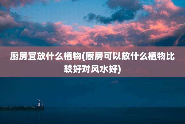 厨房宜放什么植物(厨房可以放什么植物比较好对风水好)
