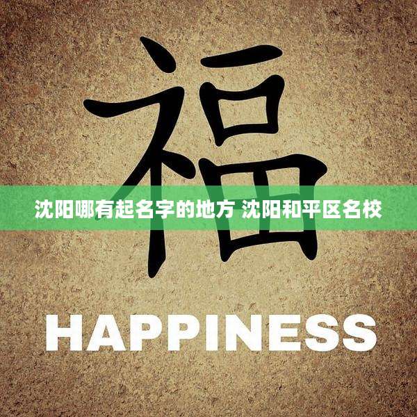 沈阳哪有起名字的地方 沈阳和平区名校