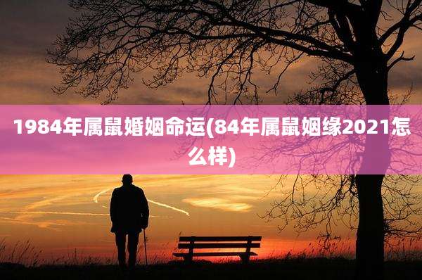 1984年属鼠婚姻命运(84年属鼠姻缘2021怎么样)