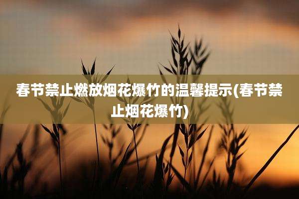 春节禁止燃放烟花爆竹的温馨提示(春节禁止烟花爆竹)