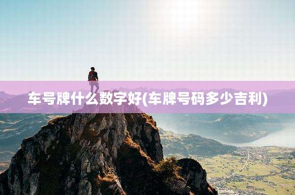 车号牌什么数字好(车牌号码多少吉利)