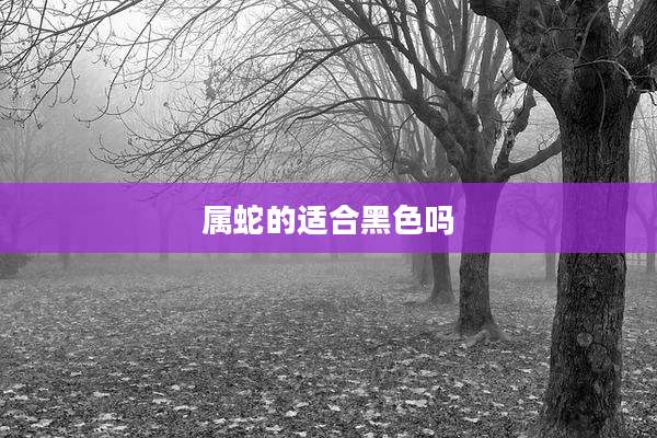 属蛇的适合黑色吗