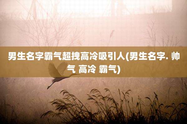 男生名字霸气超拽高冷吸引人(男生名字. 帅气 高冷 霸气)