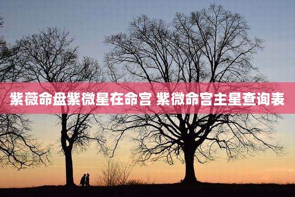 紫薇命盘紫微星在命宫 紫微命宫主星查询表
