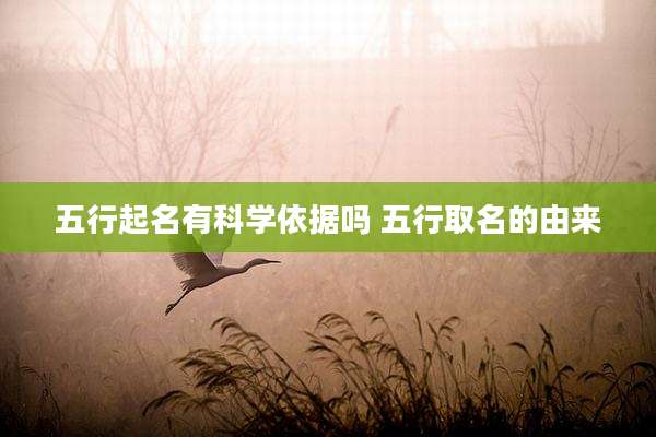五行起名有科学依据吗 五行取名的由来