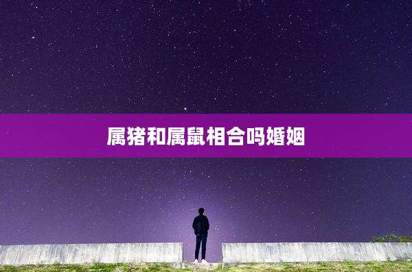 属猪和属鼠相合吗婚姻