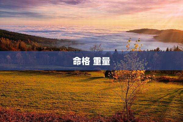 命格 重量