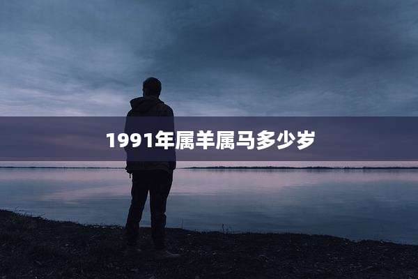 1991年属羊属马多少岁
