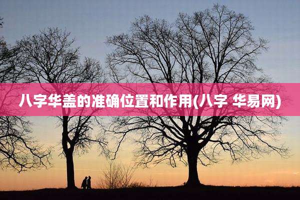 八字华盖的准确位置和作用(八字 华易网)